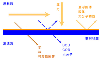 中空1_副本.png
