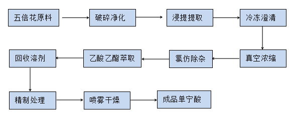 植物11.png