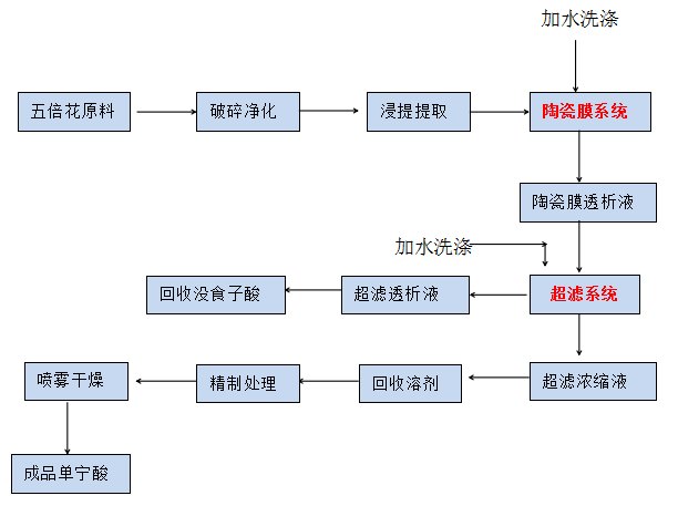 植物12.png