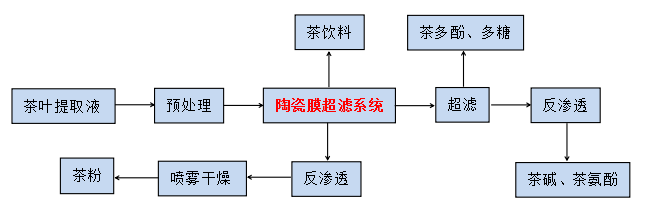 植物32.png