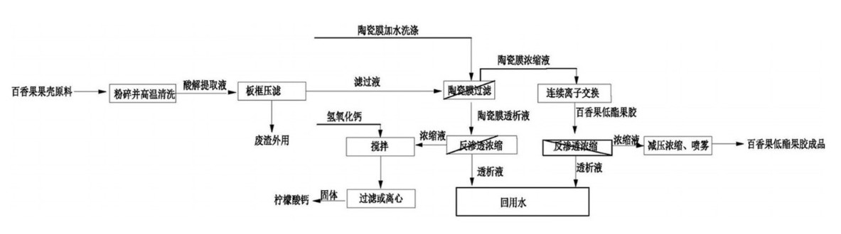 百香果3.jpg